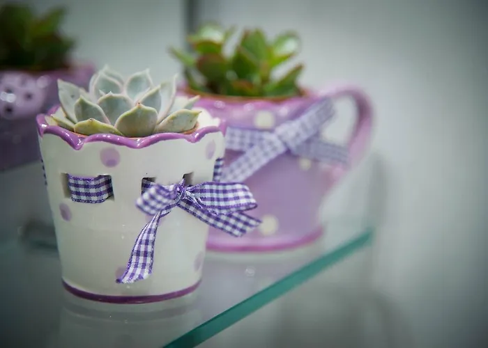 Big Johnny B Bed and Breakfast