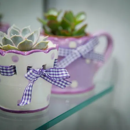 Big Johnny B Bed & Breakfast